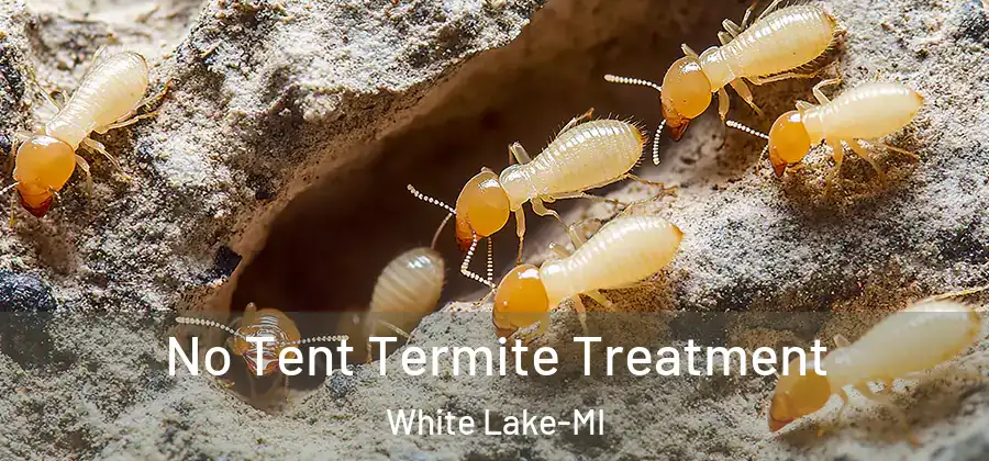  No Tent Termite Treatment White Lake-MI
