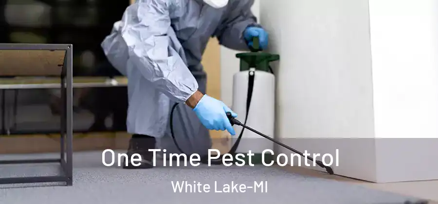 One Time Pest Control White Lake-MI