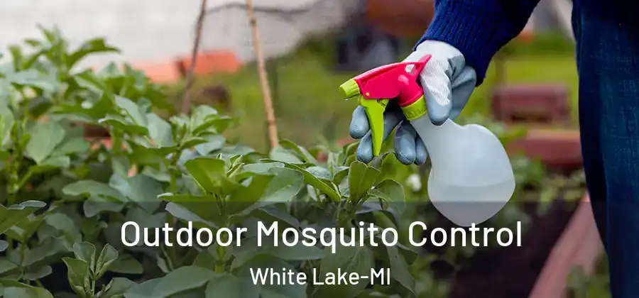 Outdoor Mosquito Control White Lake-MI