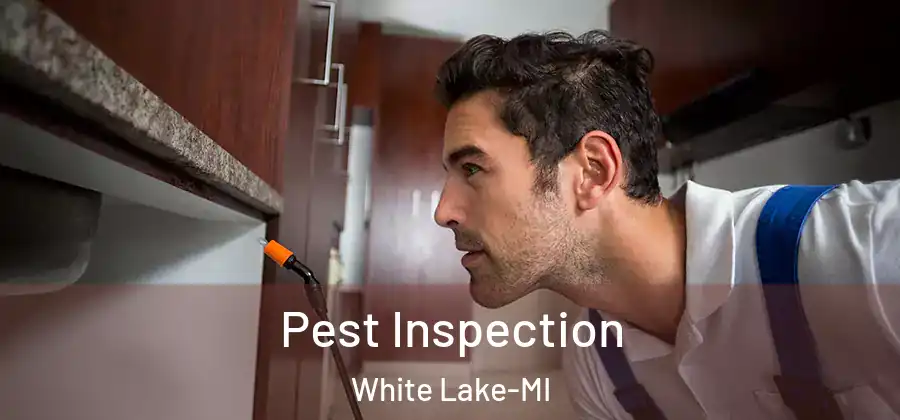  Pest Inspection White Lake-MI