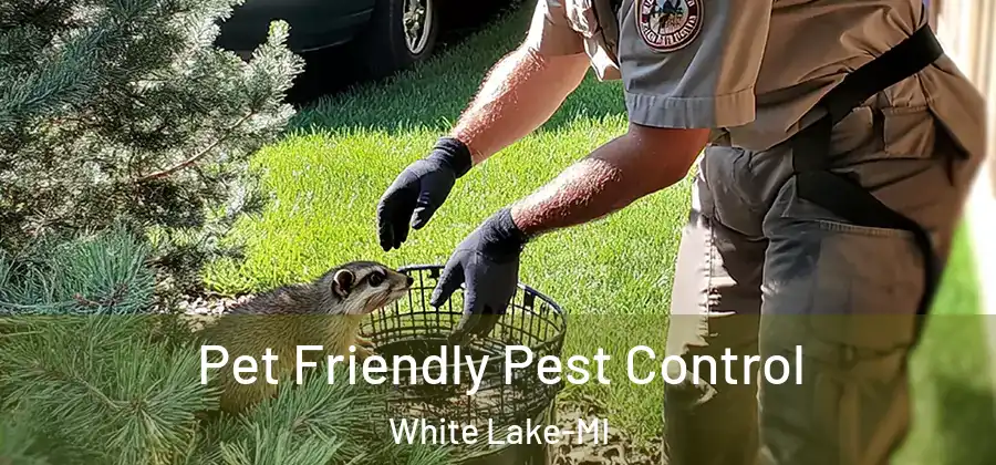 Pet Friendly Pest Control White Lake-MI