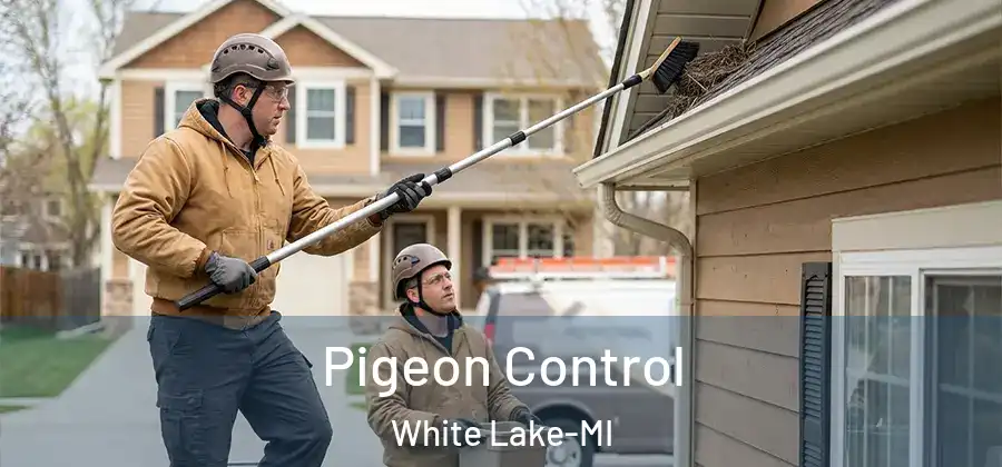 Pigeon Control White Lake-MI