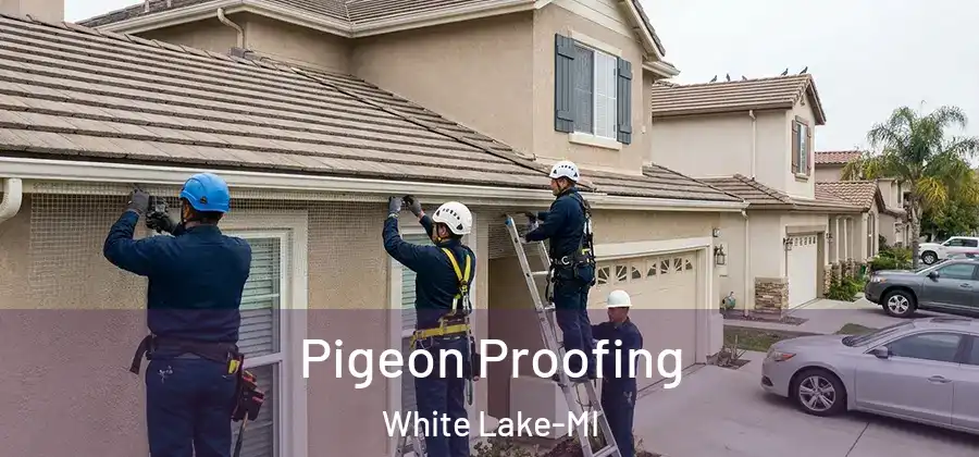 Pigeon Proofing White Lake-MI