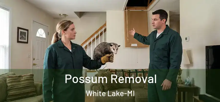 Possum Removal White Lake-MI