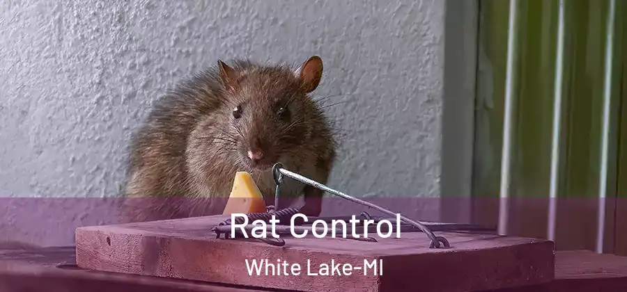 Rat Control White Lake-MI