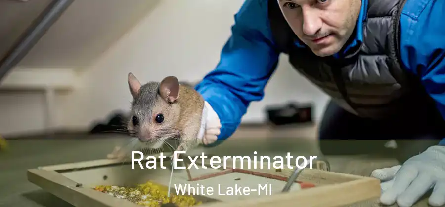 Rat Exterminator White Lake-MI