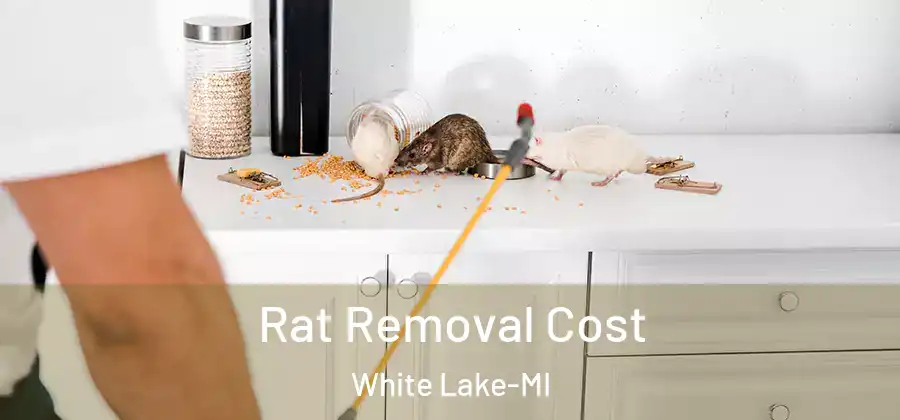  Rat Removal Cost White Lake-MI