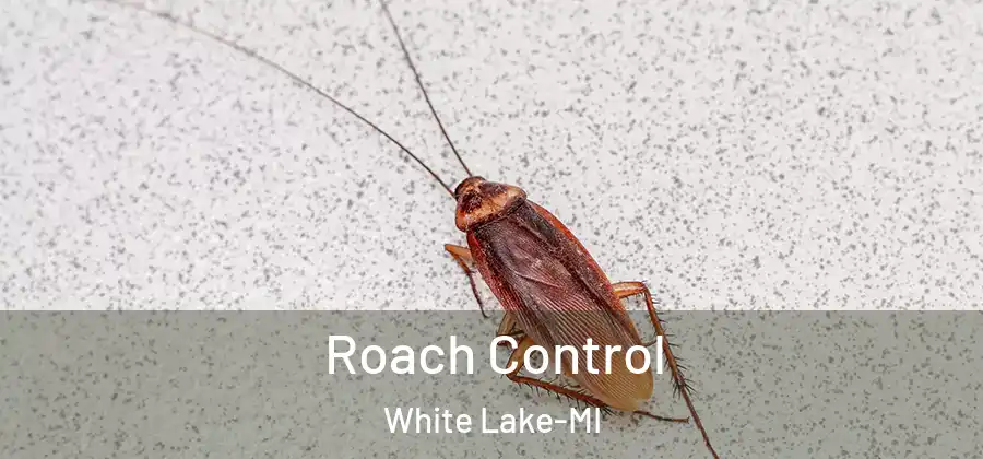 Roach Control White Lake-MI