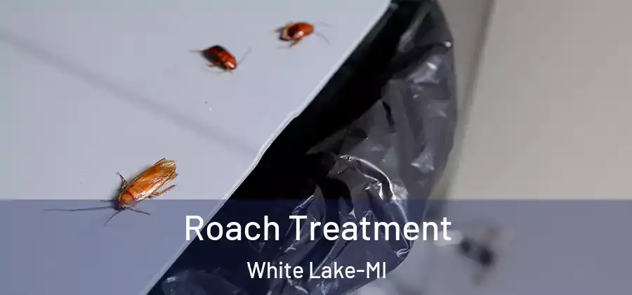 Roach Treatment White Lake-MI