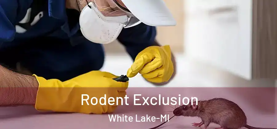 Rodent Exclusion White Lake-MI