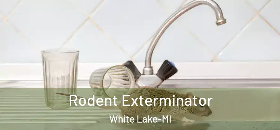 Rodent Exterminator White Lake-MI