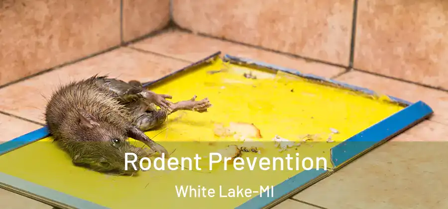  Rodent Prevention White Lake-MI