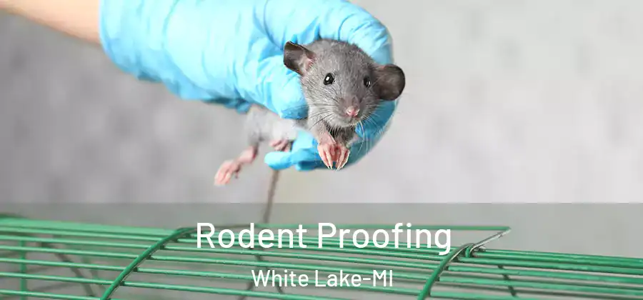 Rodent Proofing White Lake-MI