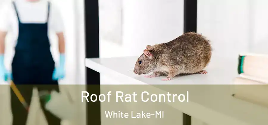  Roof Rat Control White Lake-MI