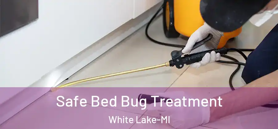 Safe Bed Bug Treatment White Lake-MI
