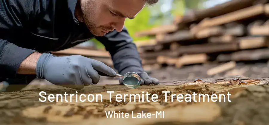  Sentricon Termite Treatment White Lake-MI