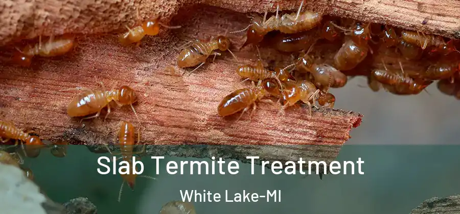 Slab Termite Treatment White Lake-MI