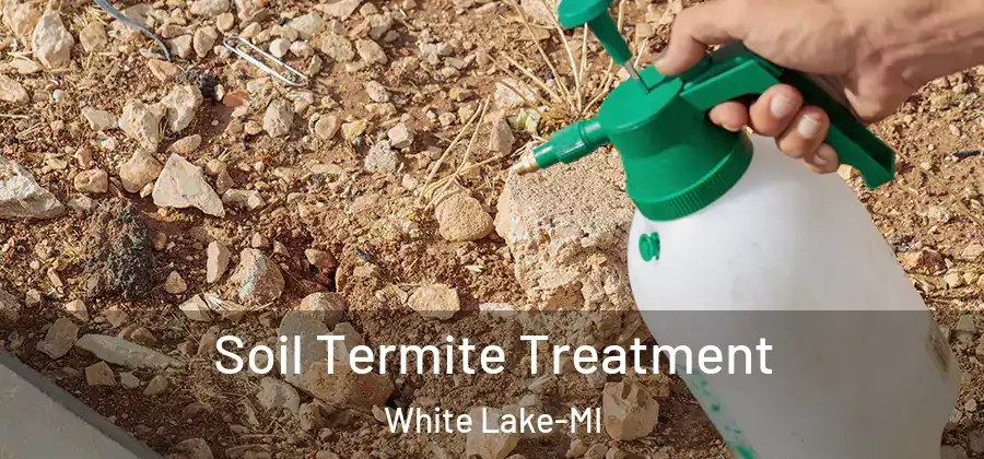 Soil Termite Treatment White Lake-MI
