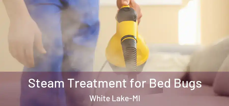 Steam Treatment for Bed Bugs White Lake-MI