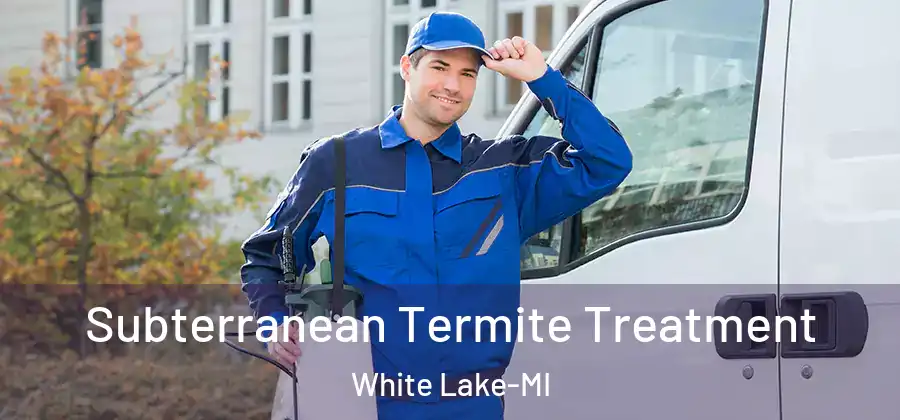 Subterranean Termite Treatment White Lake-MI