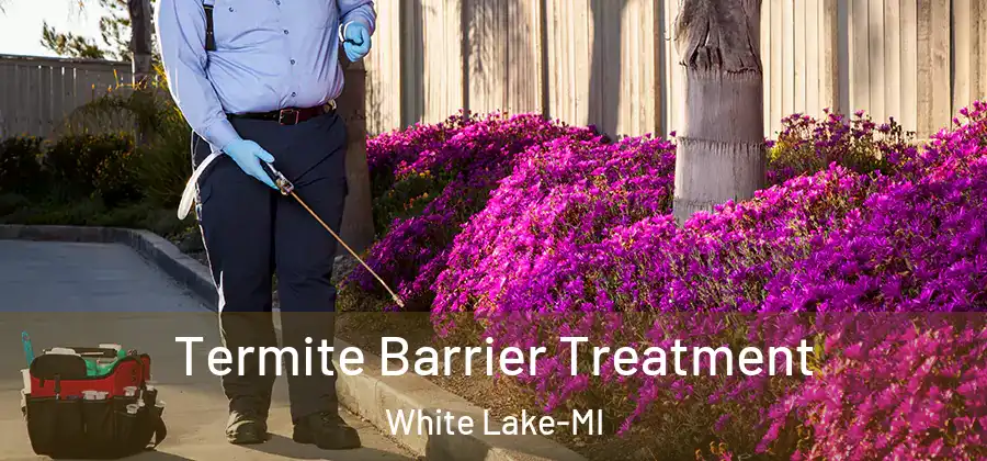  Termite Barrier Treatment White Lake-MI