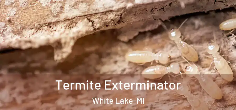 Termite Exterminator White Lake-MI