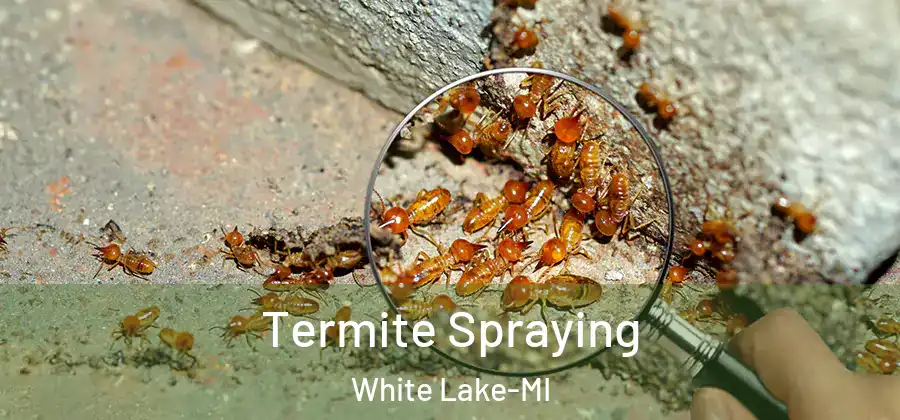 Termite Spraying White Lake-MI