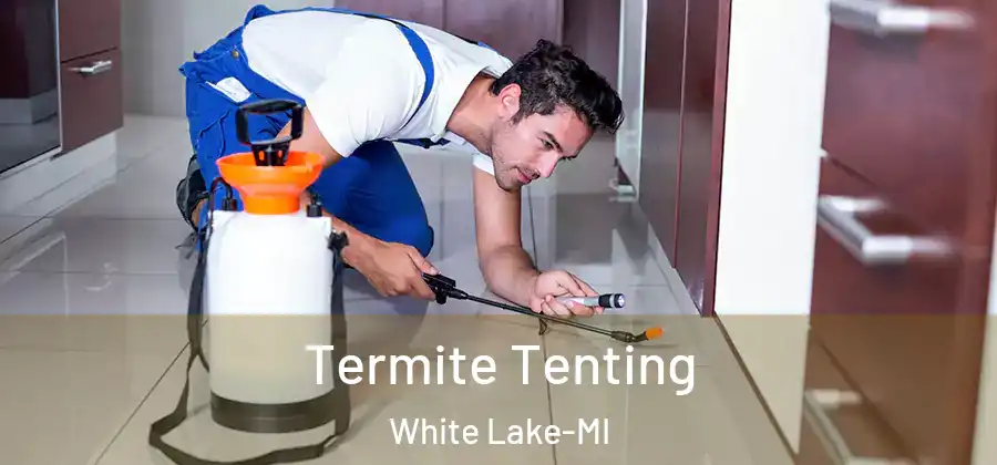Termite Tenting White Lake-MI