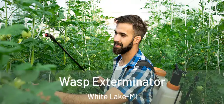  Wasp Exterminator White Lake-MI