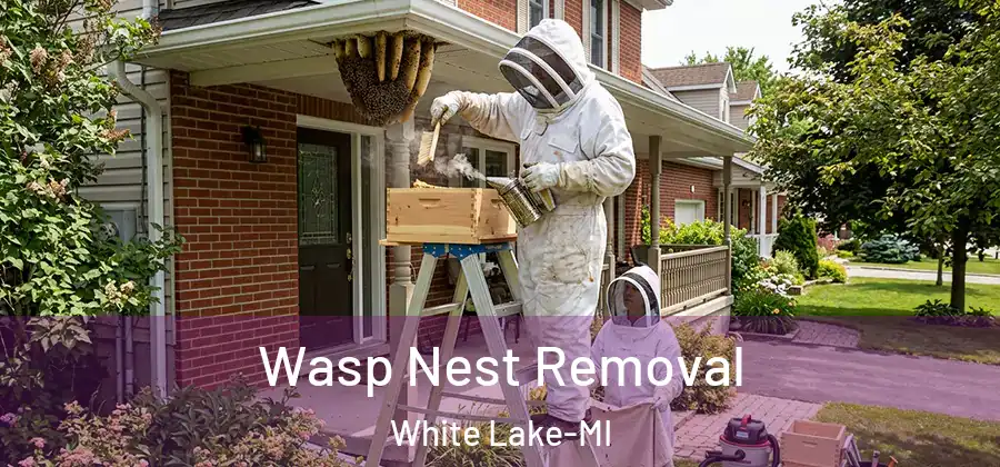 Wasp Nest Removal White Lake-MI