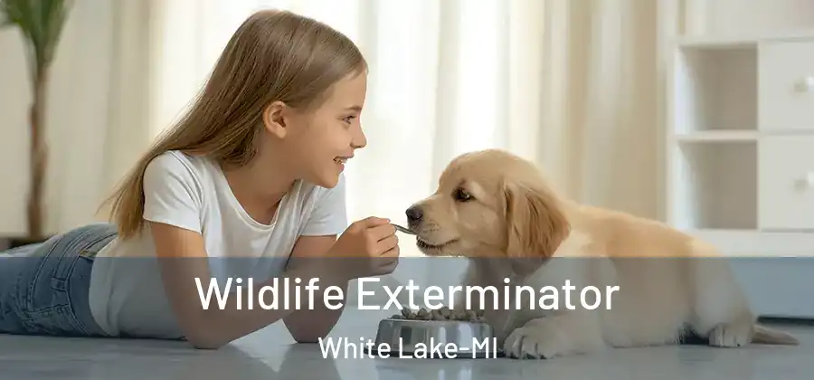  Wildlife Exterminator White Lake-MI