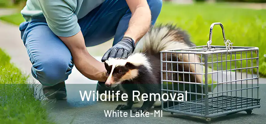 Wildlife Removal White Lake-MI