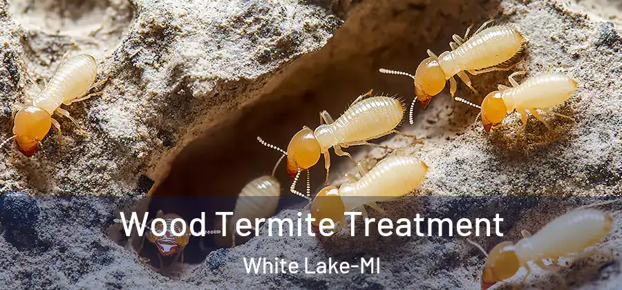 Wood Termite Treatment White Lake-MI