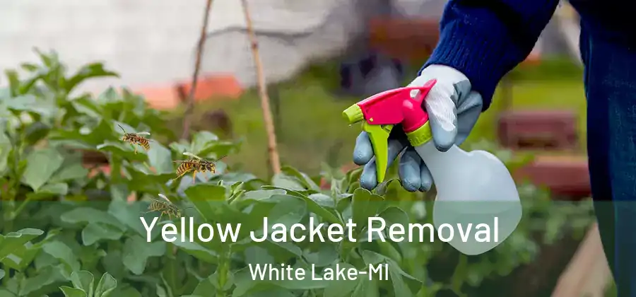  Yellow Jacket Removal White Lake-MI